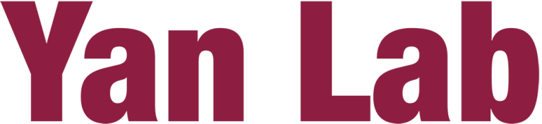Yan Lab ASU | DNA Nanotechnology Research