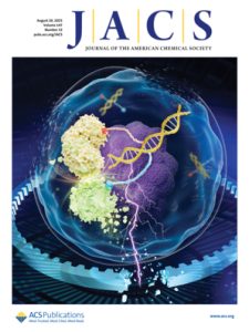 cover-11